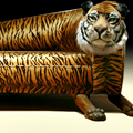 UD - Rodolfo Rocchetti Tiger Couch