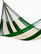 Yellow Leaf Hammocks