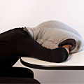 UD - Ostrich Portable Napping Environment