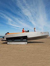 Iguana 29