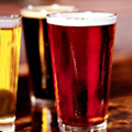 UD - Celebrate with 12 Beers of Christmas