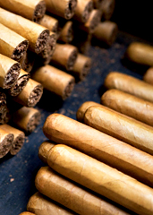 CigaRv
