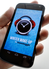 Winter Wake-Up