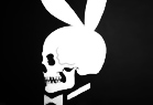 Great Dane