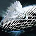 UD - Fake Badminton at a Fake Park