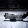 UD - Ice Hockey at the Standard