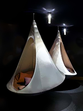 Cacoon