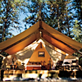 UD - Maxim, Camping with Butlers and More