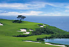 Fore Score