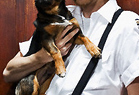Shock and Paw