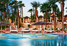 Camp Vegas