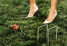 Wicket Game
