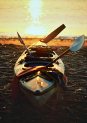 UD - Kayaking the Baja Coast