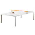UD - A Ping-Pong Table Hiding in Plain Sight