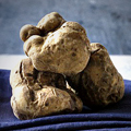 UD - The World’s Best Truffles, Delivered