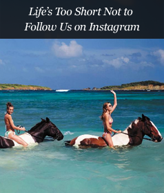 Life's Too Short Not to Follow Us on Instagram