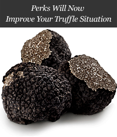 Perks Will Now Improve Your Truffle Situation