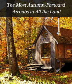 The Most Autumn-Forward Airbnbs in All the Land