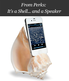 From Perks: It's a Shell... and a Speaker