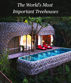 The World's Most Important Treehouses