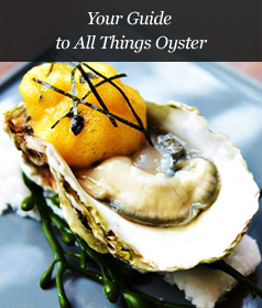 Your Guide to All Things Oyster