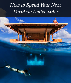 How to Spend Your Next Vacation Underwater