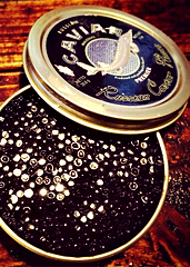 UD - Black Caviar Company