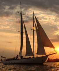 Where to Watch the Fireworks