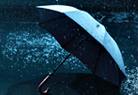 Rain Check