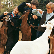 UD - Brian Wilson Wants to Sing You <em>Pet Sounds</em>. All of It.