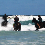 UD - Horse Surfing. (Yep, Horse Surfing.)