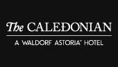 C8dbdaabbe1a41a09a91e20572ee009f