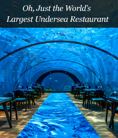Oh, Just the World's Largest Undersea Restaurant