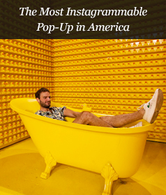 The Most Instagrammable Pop-Up in America