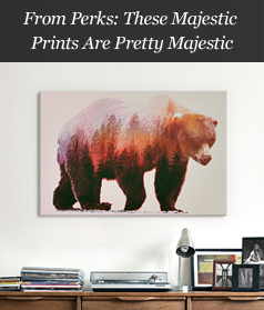 From Perks: These Majestic Prints Are Pretty Majestic