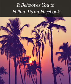 It Behooves You to Follow Us on Facebook