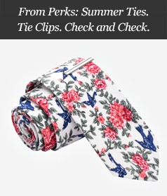 From Perks: Summer Ties. Tie Clips. Check and Check.