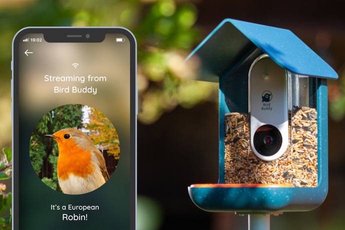 bird buddy smart bird feeder