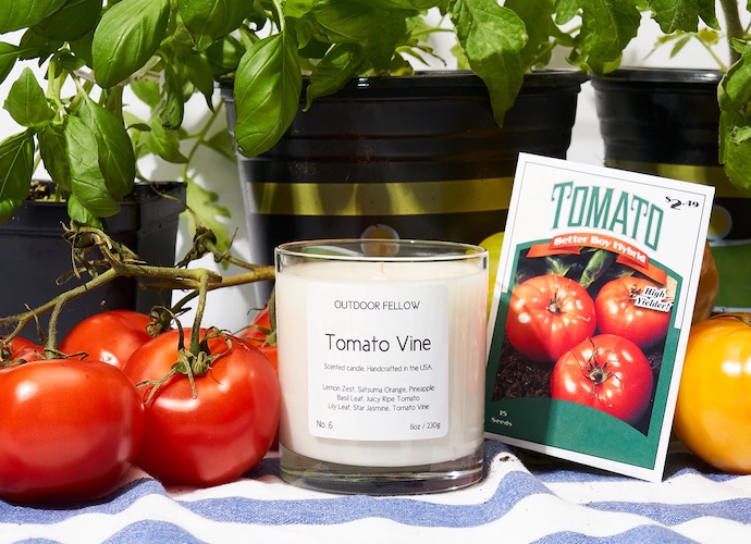 outdoor fellow tomato vine candle