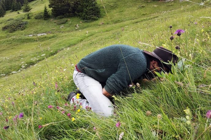 man smelling flowers in swiss mountains