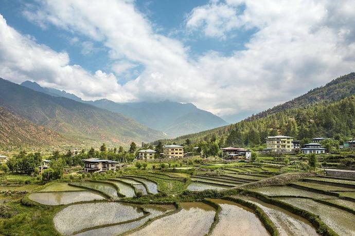 bhutan paro valley paddies