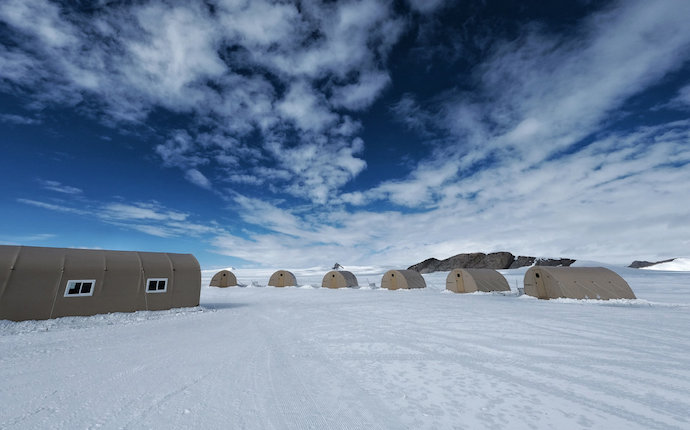 white desert wolf's fang camp