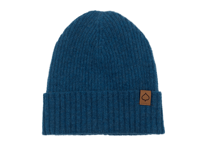 aspenx cashmere beanie