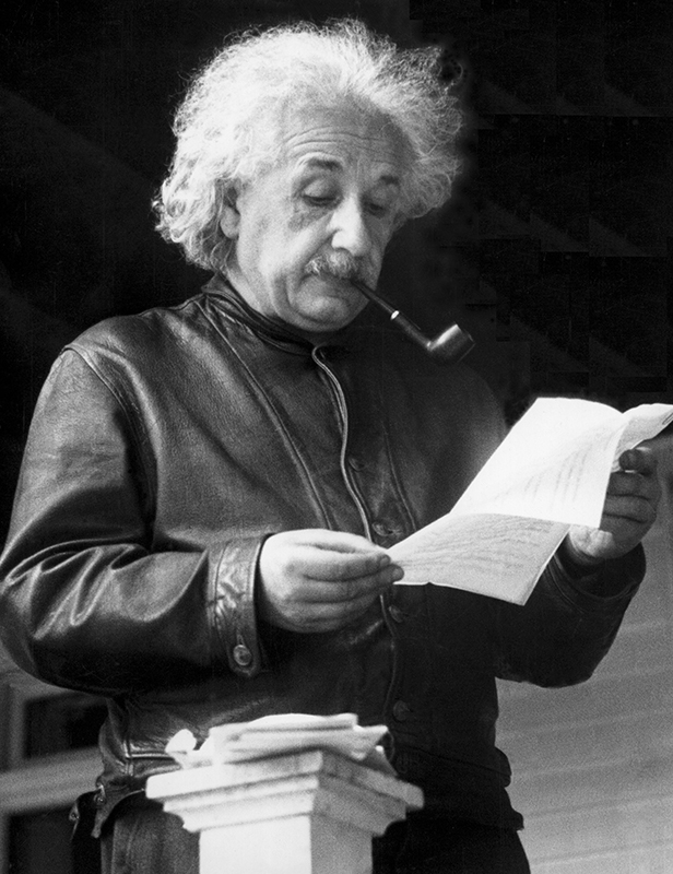 albert einstein leather jacket