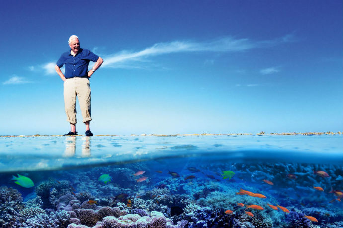 David Attenborough's Great Barrier Reef