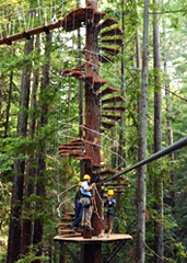 UD - Sonoma Canopy Tours