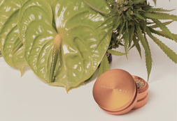Just Some Really Cool-Looking Weed-Smoking Materials, That's All
