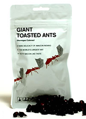 UD - Giant Toasted Ants