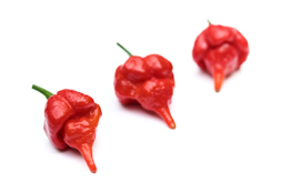 Tabasco Won't Be Happy Until It Burns Your Face Off