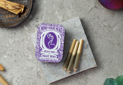 A Truly Historic Weed Strain from the Drummer for the Grateful Dead